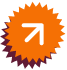 Arrow Badge